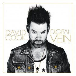 David Cook