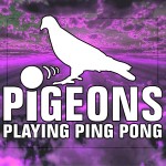 Pigeons Playing Ping Pong